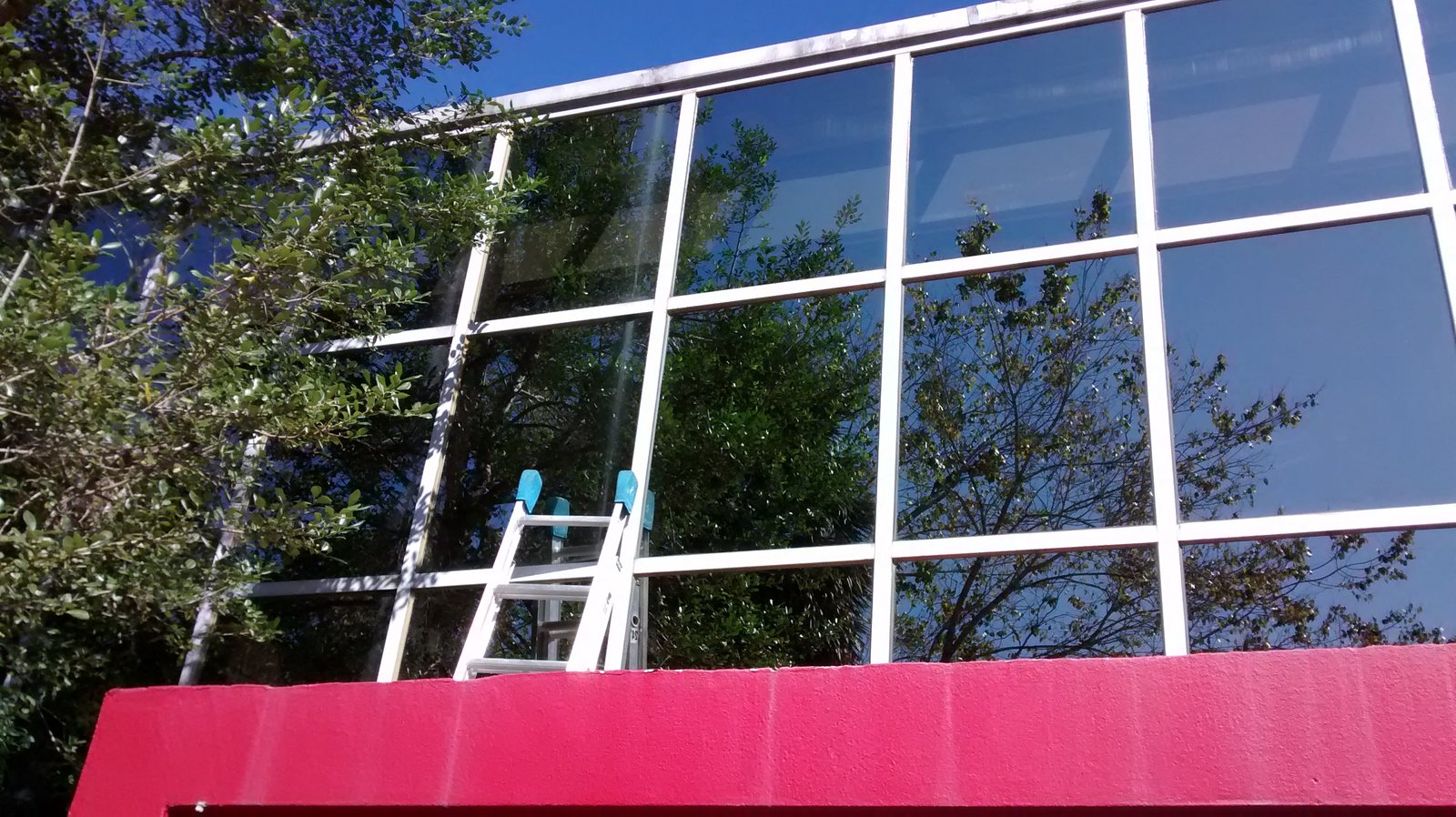 SqueegeeCo window cleaning