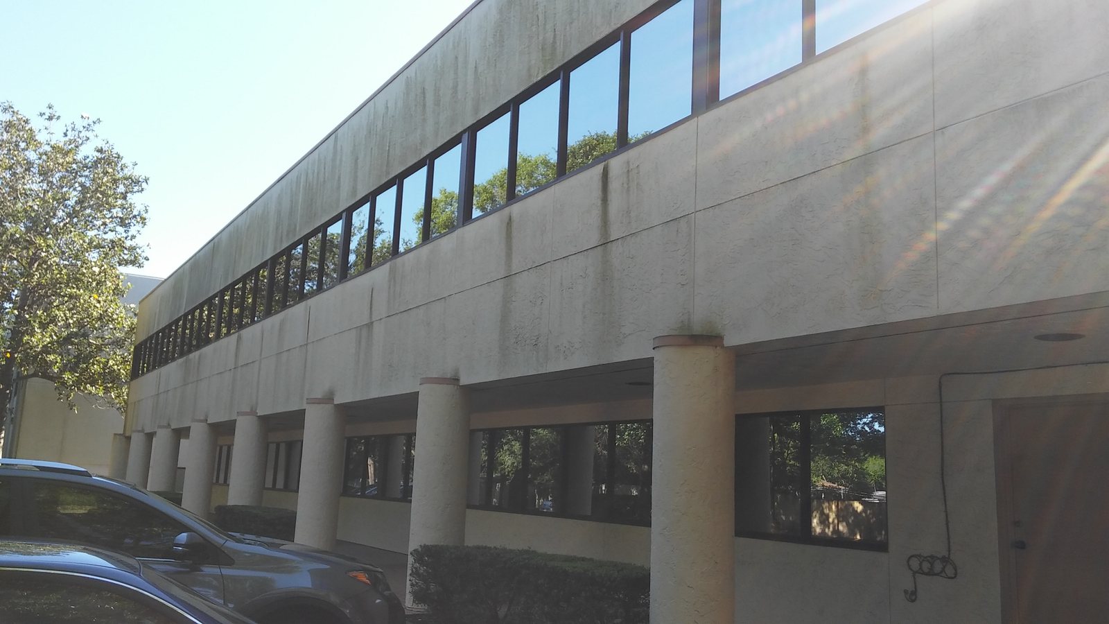 SqueegeeCo window cleaning