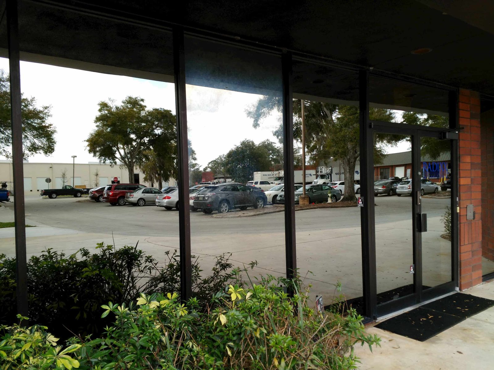 SqueegeeCo window cleaning